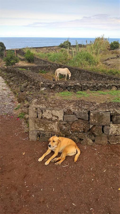 Quinta Da Falesia - Casa Branca Πόντα Ντελγκάντα Εξωτερικό φωτογραφία