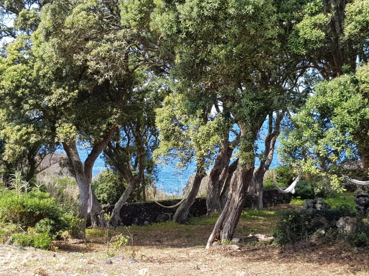 Quinta Da Falesia - Casa Branca Πόντα Ντελγκάντα Εξωτερικό φωτογραφία