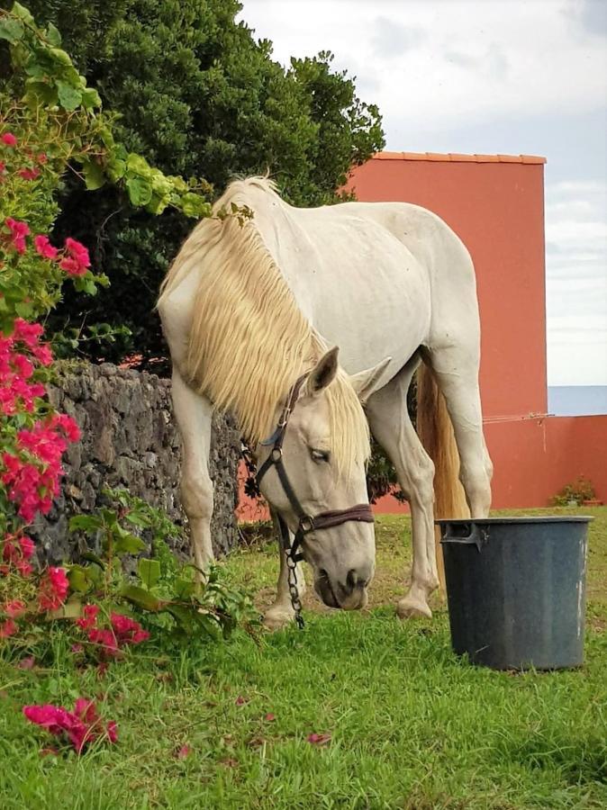 Quinta Da Falesia - Casa Branca Πόντα Ντελγκάντα Εξωτερικό φωτογραφία